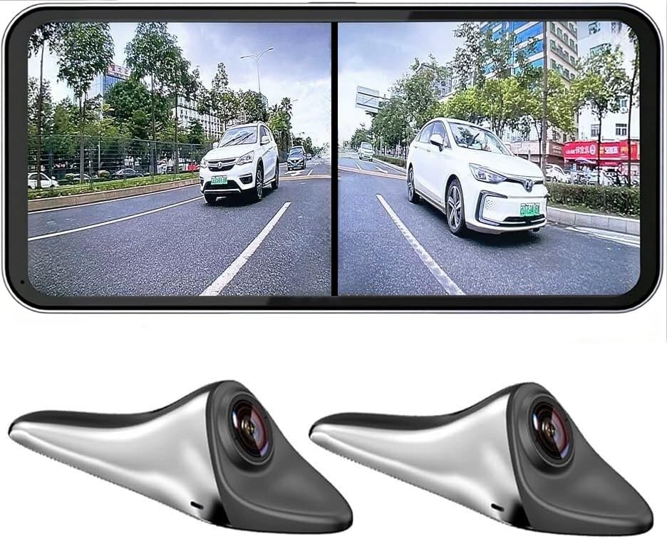Dual-Camera Blind Spot Display