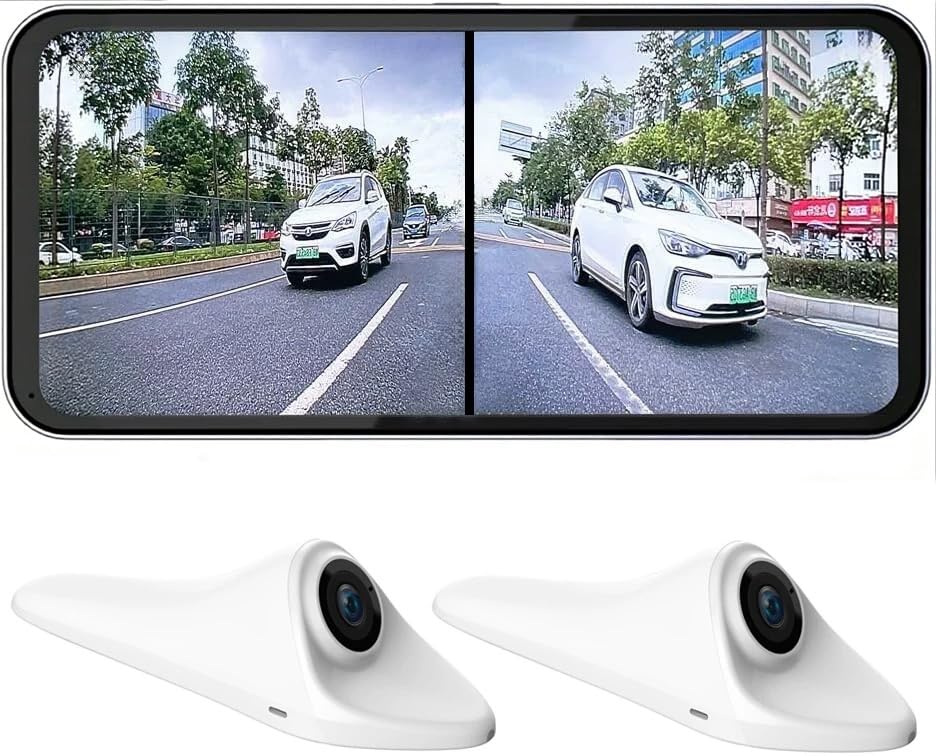 Dual-Camera Blind Spot Display