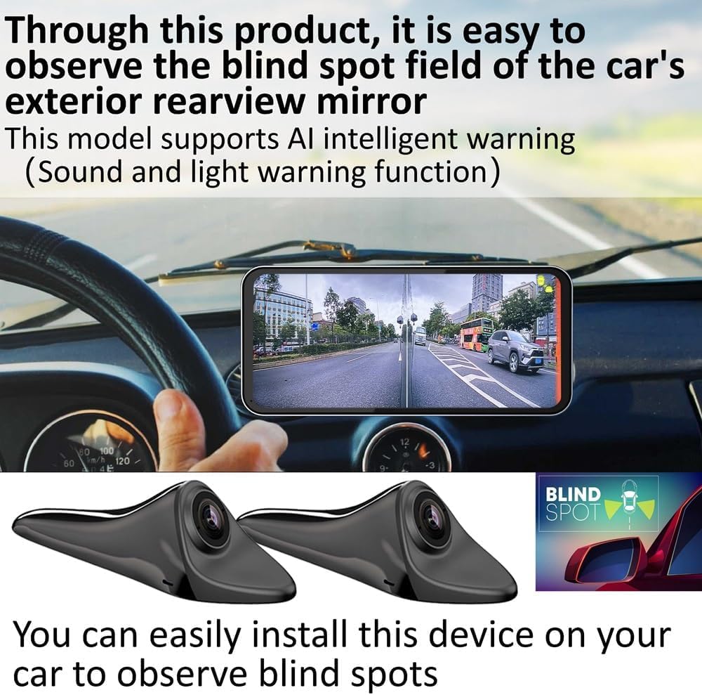 Dual-Camera Blind Spot Display