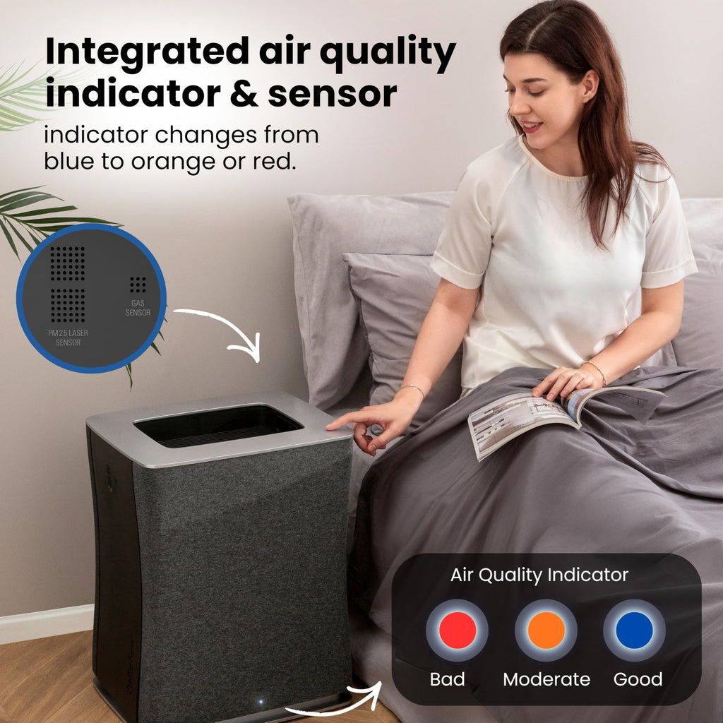 Large-Room Wi-Fi Air Purifier